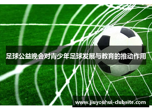 足球公益晚会对青少年足球发展与教育的推动作用